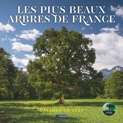 Calendrier 2024 des Arbres — Concours de L'Arbre de l'Année